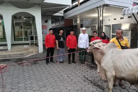 PDIP Jember Serahkan Sapi Kurban ke Ponpes Milik Mantan Wabup Foto BeritaJatim.com