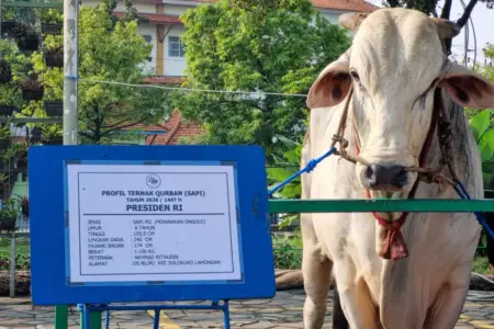 Foto BeritaJatim.com