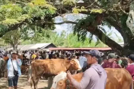 Foto BeritaJatim.com