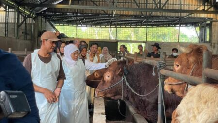 Gubernur Khofifah Tinjau Peternakan Sapi Kurban di Baureno, Pastikan Stok Hewan Kurban Aman Foto BeritaJatim.com
