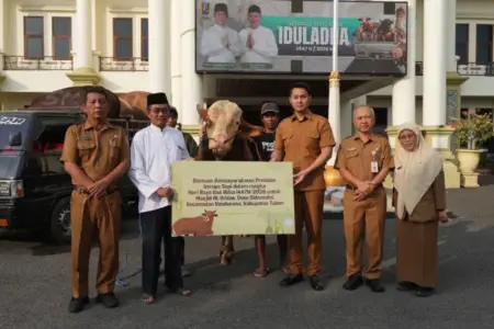 Sapi Kurban Seberat 1.004 Kilogram dari Presiden Prabowo Diserahkan ke Masjid Al-Ikhlas Kenduruan Tuban Foto BeritaJatim.com