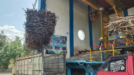 Petani Tebu Bondowoso Optimistis, PG Pradjekan Bidik Produksi 40 Ribu Ton Gula Foto BeritaJatim.com