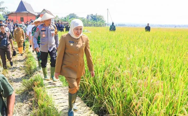 Foto BeritaJatim.com