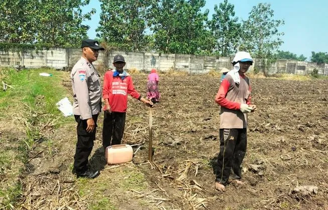 Foto BeritaJatim.com