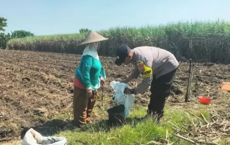 Bhabinkamtibmas di Mojokerto Turun ke Sawah, Dampingi Petani Siapkan Lahan Jagung Foto BeritaJatim.com