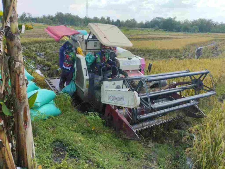 Saat Migas Melambat, Sektor Nonmigas Selamatkan Ekonomi Bojonegoro Foto BeritaJatim.com