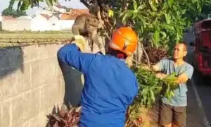 Foto BeritaJatim.com