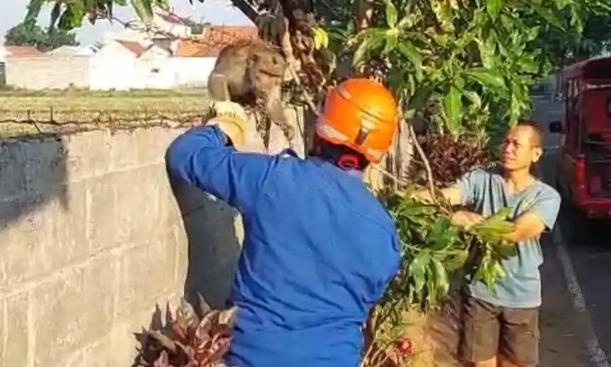 Foto BeritaJatim.com