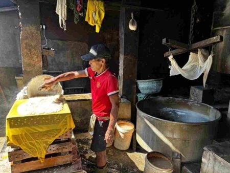 Harga Kedelai Meroket, Perajin Tahu di Banyuwangi Perkecil Ukuran Foto BeritaJatim.com