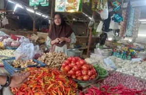 Stok Melimpah, Harga Cabai di Sumenep Mulai Melandai Foto BeritaJatim.com