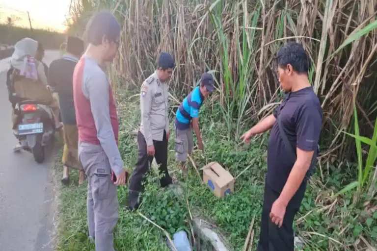 Polisi Selidiki Penemuan Bayi Meninggal dalam Kardus di Kebun Tebu Foto BeritaJatim.com