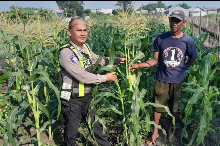 Foto BeritaJatim.com