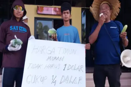 Harga Anjlok, Petani Jember Bagikan 2 Kuintal Mentimun Gratis Foto BeritaJatim.com