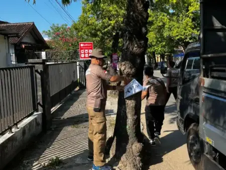 Banner Dipaku di Pohon, Satpol PP Pacitan Lamongan Tertibkan 125 Reklame Ilegal Foto BeritaJatim.com