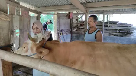 Delapan Ternak Mati di Pacitan, Hasil Laboratorium Ungkap Indikasi Antraks Foto BeritaJatim.com