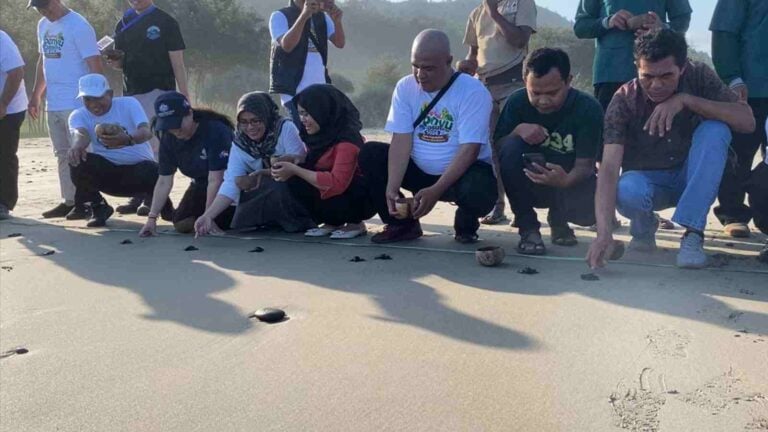 Peringati Hari Penyu Sedunia, Ratusan Tukik Dilepasliarkan di Pantai Jolosutro Blitar Foto BeritaJatim.com