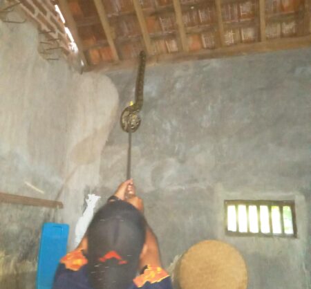 Damkar Ponorogo Evakuasi Ular Piton 3 Meter yang Bersarang di Blandar Rumah Warga Foto BeritaJatim.com