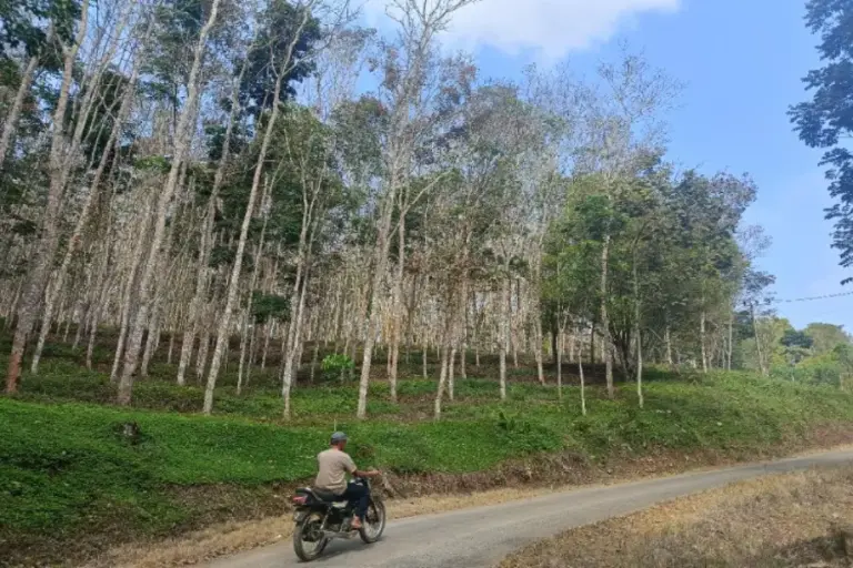 Foto BeritaJatim.com