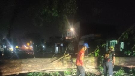 Hujan dan Angin Kencang di Mojokerto, Pohon Tumbang Sempat Tutup Jalan Brawijaya Foto BeritaJatim.com