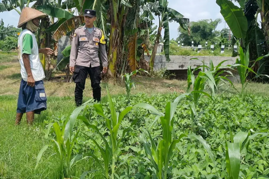 Foto BeritaJatim.com