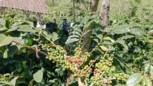 Foto BeritaJatim.com