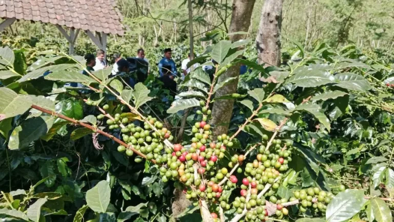 Foto BeritaJatim.com