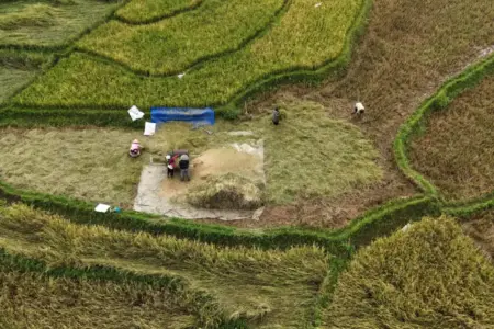 Pemerintah Klaim Produksi Beras Nasional Naik di Tengah Penurunan Global Foto BeritaJatim.com