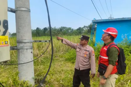 Empat Pegawai Outsourcing PLN Lumajang Ditangkap Usai Curi Kabel Tembaga, Modus Pemeriksaan Keliling Foto BeritaJatim.com