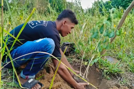 Pemuda Dusun Keromongan Tanam Puluhan Pohon Trembesi, Ubah Lapangan Terbengkalai Jadi Ruang Hijau Foto BeritaJatim.com