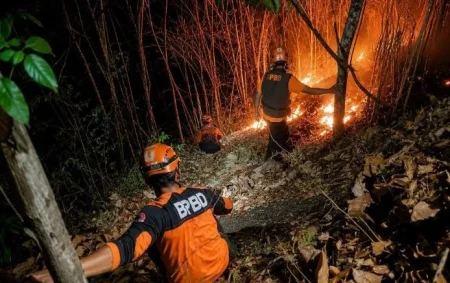 Kekeringan di Lumajang, 21 Wilayah Kecamatan Kategori Rawan Karhutla Foto BeritaJatim.com