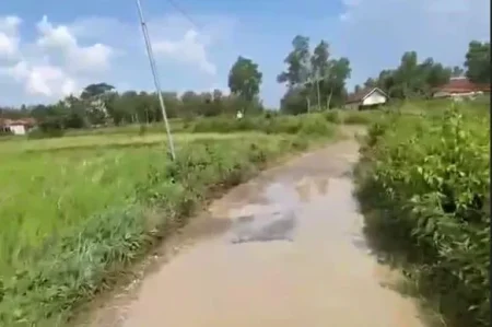 Foto BeritaJatim.com