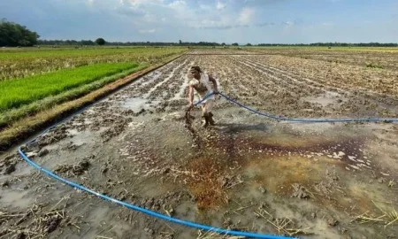 Klaim Pupuk Hayati, PT ENERO Bantah Buang Limbah di Persawahan Mojokerto Foto BeritaJatim.com