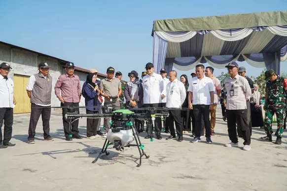 Antisipasi Gagal Panen, Pemkab Lamongan Berantas Hama Wereng di 19 Kecamatan Foto BeritaJatim.com