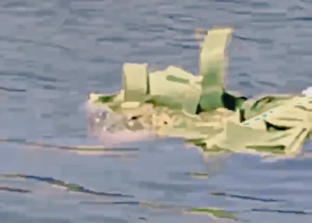 Buaya 3 Meter Muncul ke Permukaan di Gresik, Warga Diminta Waspada Foto BeritaJatim.com