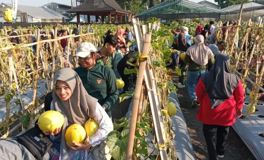 Foto BeritaJatim.com