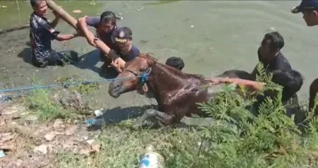 Foto BeritaJatim.com