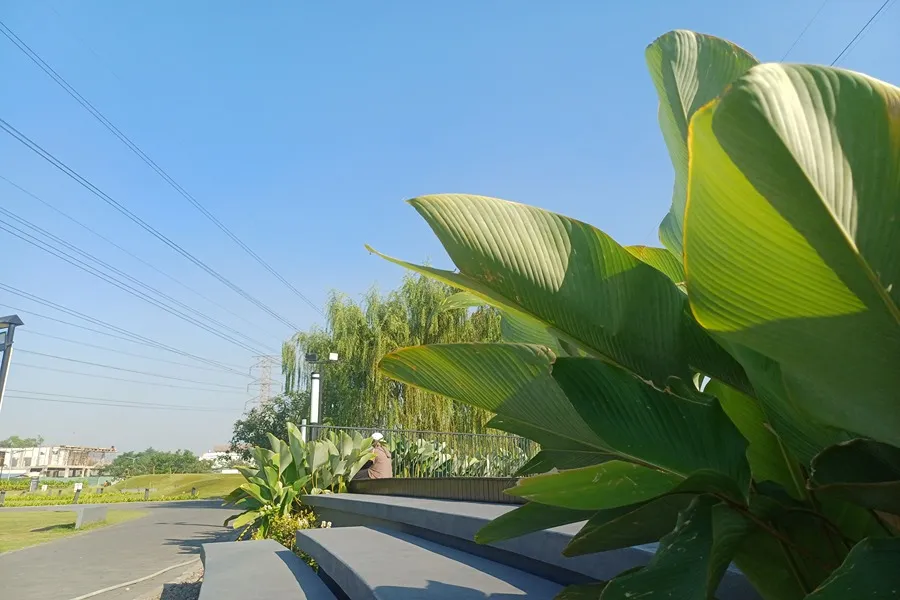 BMKG Prakirakan Cuaca Surabaya, Sidoarjo, dan Gresik 2 Juli 2026 Foto BeritaJatim.com