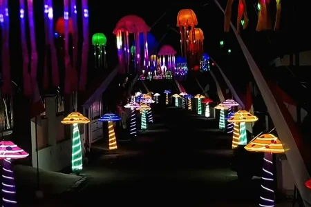Kampung Jamur Ubur-Ubur Pasuruan Jadi Magnet Wisata Baru, Lampion Cantiknya Curi Perhatian Foto BeritaJatim.com