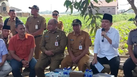 Pemkab Jember Pasang PJU dan Perbaiki Jalan Wonojati-Sruni, Bupati: Jangan Dicuri! Foto BeritaJatim.com
