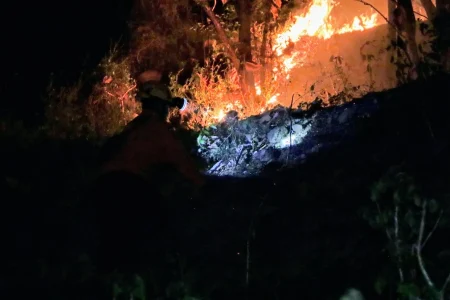 Kebakaran Hutan di Ponorogo, BPBD dan Warga Padamkan Api dengan Cara Gepyok Foto BeritaJatim.com