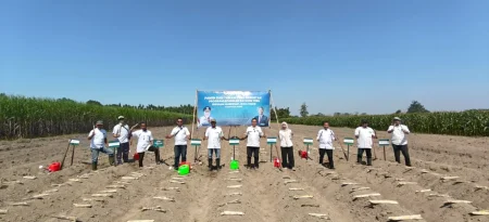 PG Pesantren Baru Kediri Salurkan Bibit Tebu Gratis, Dorong Produktivitas Petani Lewat Program CPCL Foto BeritaJatim.com