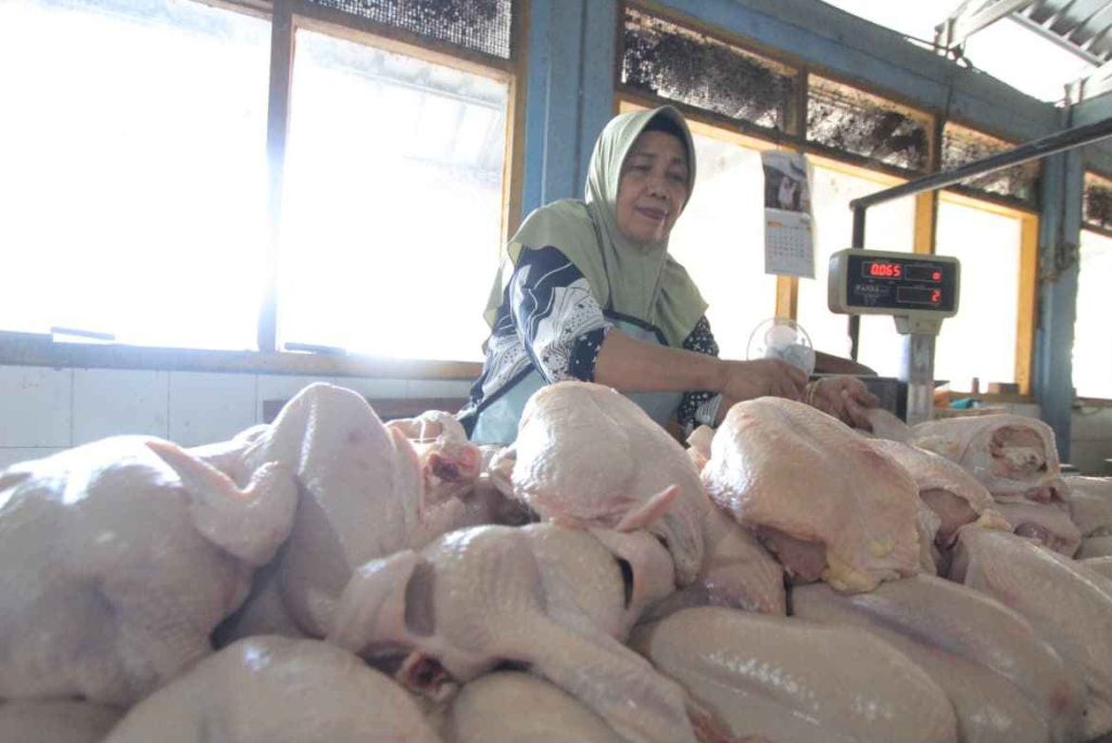 Harga Daging Ayam di Pasar Sayur Magetan Naik, Pedagang Sebut Daya Beli Masyarakat Belum Pulih Foto BeritaJatim.com