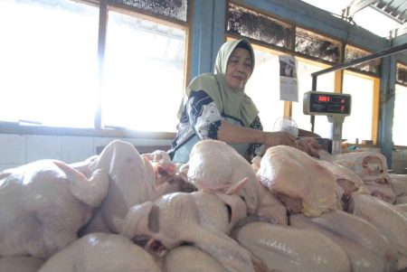 Harga Daging Ayam di Pasar Sayur Magetan Naik, Pedagang Sebut Daya Beli Masyarakat Belum Pulih Foto BeritaJatim.com