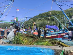 Hasil Tangkapan Turun, Nelayan Pacitan Andalkan Rumpon Foto BeritaJatim.com
