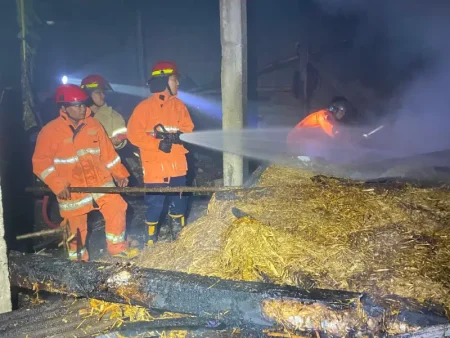 Gudang Berisi Jerami dan Kayu di Tanjungsari Pacitan Terbakar Foto BeritaJatim.com