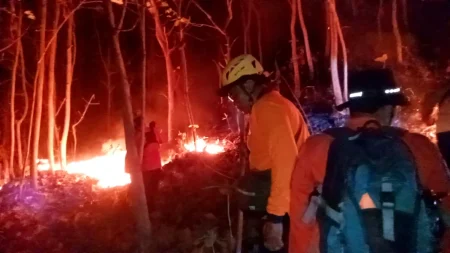 8 Jam Berjibaku, BPBD Ponorogo Berhasil Jinakkan Karhutla di Gunung Gombak Foto BeritaJatim.com