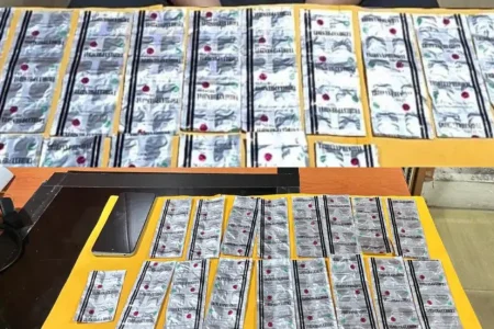Satresnarkoba Polres Ngawi Ungkap Peredaran Pil Koplo, Dua Pelaku Diamankan, Satu Masih Remaja Foto BeritaJatim.com