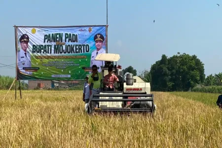 Bupati Mojokerto Serahkan Bantuan Pertanian Senilai Rp5,4 Miliar ke Kelompok Tani Foto BeritaJatim.com