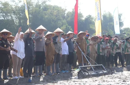 UMM Jadi Pelopor Dongkrak Panen Padi Hingga 8,5 Ton Per Hektar di Bondowoso Foto BeritaJatim.com