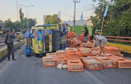 Ngantuk, Truk Bermuatan Ayam Tabrak Pembatas Jembatan Catur Madiun lalu Hantam Bus Restu Foto BeritaJatim.com